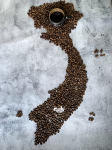 Café en Grano Tostado 100% Robusta Orgánico de Grado AA de Dak Lak, Vietnam, Precio Económico, Venta Caliente, Alta Calidad, Buen Precio, Venta al por Mayor - Product Image 2