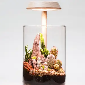 [2.9R] Gute Qualität LED Smart Wooden Grow Light Moderne Luxus Terrarium Glas Schreibtisch lampe