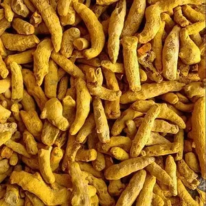 Curcuma entier séché de qualité supérieure, AD, à haute teneur en curcumine 7-9%, qualité nutraceutique naturelle, 25 kg disponible, approvisionnement en gros - Product Image 5