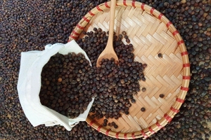 Pimienta Negra en Polvo 550GL de Calidad Premium, aroma fuerte, especias ideales para barbacoa de cordero y ternera, y procesamiento de alimentos. - Product Image 2