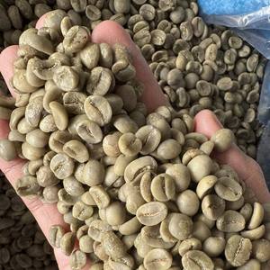 Proveedor a Granel de Granos de Café Verde Arábica Vietnamita de Origen Único, Totalmente Lavados, Baja Tasa de Rotura, Criba 18, Totalmente Lavados - Product Image 6