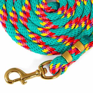 Premium Eco-friendly Nylon <b>Horse</b> <b>Lead</b> <b>Rope</b> with Brass Snap Hook Customizable Size & Color Factory Direct Wholesale - Product Image 4
