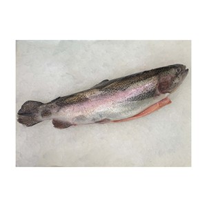 Truite fraîche à bas prix, portion de poisson de haute qualité préparée pour une expédition en gros volume et une livraison rapide - Product Image 6