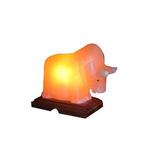 Lampe en sel rose de l'Himalaya, design moderne, résistante au feu, pour salon et cuisine - Product Image 3