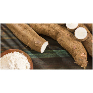 Almidón de Yuca, Harina de Tapioca en Polvo, Venta al por Mayor, Buen Precio - Product Image 3