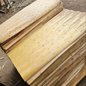 Placage de bois d'acacia 100 % naturel, écologique et durable, coupé rotativement, pour la construction industrielle et le contreplaqué - Product Image 1