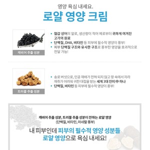 Crème pour le visage à l'adénosine et à la gelée royale de Corée 60 ml, crème anti-âge de la marque K-Beauty - Product Image 5