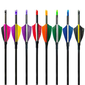 새로운 도착 12 팩 탄소 샤프트 양궁 활력 시커 100 곡물 필드 포인트 사냥 연습 대상 복합 활 - Product Image 1