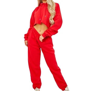 Conjunto de Sudadera Corta con Capucha para Mujer, Dos Piezas, Tejido Grueso, Ecológico, Casual, Tallas Grandes, Ajuste Holgado, Ropa Deportiva, Ropa de Estar por Casa, Ropa Urbana - Product Image 1