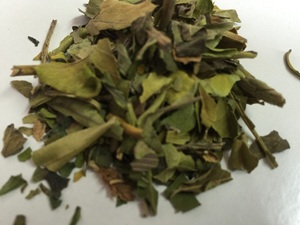 Feuilles séchées d'Adhatoda Vasica, ingrédient à base de plantes, feuilles entières d'Adhatoda Vasica naturelles, feuilles séchées d'Adhatoda Vasica de qualité supérieure - Product Image 4