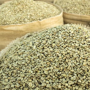 High Quality Specialty Robusta Green Coffee <b>Beans</b> S18 from Vietnam, USDA Certified, Direct Export Supplier, MOQ Flexible - Product Image 1