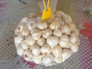 Ajo fresco, alta calidad, MS Laries (+ 84) 85 250 8673 - Product Image 2