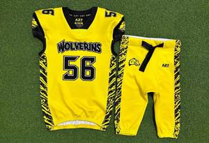 Ensemble de maillots de football pour jeunes Panthers sur mesure, bleu, 25, sans manches, col en V, polyester/coton respirant, taille élastique - Product Image 6