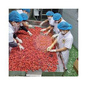 Fresas Enteras Liofilizadas de Alto Estándar en Empaque al Vacío, Peso Personalizado en Onzas, Sabor Dulce, Listas para Comer, FD para Venta al por Mayor - Product Image 4