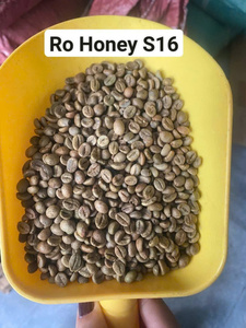 Granos de Café Verde Robusta de Alta Calidad a Precio Competitivo, Proceso Honey, 100% Café de Grado 1 de Vietnam, al Mejor Precio al por Mayor - Product Image 4