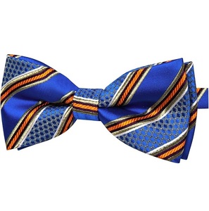 Nœud Papillon Pré-Noué en Soie Rayé Bleu avec Accents Bleus et Argentés, Accessoire de Tenue Formelle, Design à Motifs Durable - Product Image 1