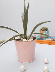 Jardinière de bureau en métal rose bordeaux entièrement personnalisable pour la décoration extérieure de jardin et de pépinière finition enduite de poudre - Product Image 3