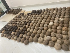 Cuencos ecológicos de cáscara de coco pulida, sin recubrimiento, hechos a mano, HECHOS en VIETNAM - Product Image 3