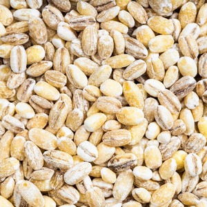 Cebada de Grano Natural para Alimentación Animal Procesada Bajo Condiciones Higiénicas con Empaque Resistente para Suministro de Alimentos al por Mayor - Product Image 3
