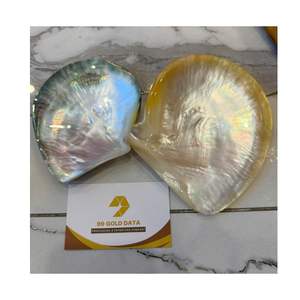 Assiette de service en coquille d'huître naturelle pour gâteaux, vaisselle de couleur dorée naturelle, design portrait, style américain, pour fêtes - Product Image 5