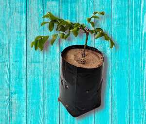 Sac de culture respirant en PE noir de 15 L avec trous de drainage pour semis et plantes - Product Image 1