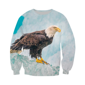 Sweat à capuche pour homme avec imprimé aigle chauve, impression numérique, 100% coton, coupe classique, col rond, tricoté, vêtement d'hiver décontracté - Product Image 3