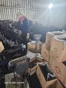 Greenlife Asie Fourniture d'usine Meilleur choix de briquettes hexagonales de charbon de bois de feuillus de qualité AAA Sciure de bois de première qualité fabriquée à la machine - Product Image 2