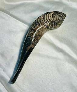 Shofar en corne de bélier original casher, entièrement poli - Instrument de musique juif artisanal et écologique - Facile à souffler, fabriqué en Israël - Product Image 1