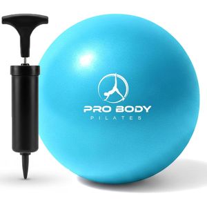 Ballon de Pilates de 9 pouces avec pompe pour la stabilité, la thérapie du tronc, le barre, le yoga et la physiothérapie - Product Image 1