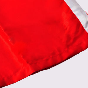 Fabricant de shorts de boxe en Europe |   Usine de vêtements Ring Apparel de haute qualité - Product Image 4