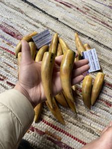 ปลายเผาขัดเขาควายธรรมชาติเป็นมิตรต่อสิ่งแวดล้อม - Product Image 3