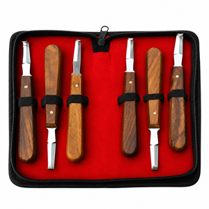 Professional 6 Pcs Equine Hoof Care Farrier Kit Set Horse Vet Tools German Grade Surgical Instruments - Product Image 6