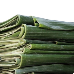 ใบกล้วย - ใบกล้วย วัสดุบรรจุภัณฑ์อาหารตามธรรมชาติและเป็นมิตรกับสิ่งแวดล้อม ราคาถูก - Product Image 5