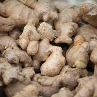 Huile de gingembre fraîche extraite au CO2 (FG-003) Van Aroma - Aromathérapie et répulsif anti-insectes