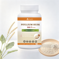 Capsules végétaliennes de Psyllium OEM ODM – Soutien naturel à base de fibres alimentaires pour le nettoyage du côlon, la régularité intestinale et le bien-être digestif pour adultes