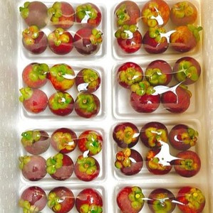 Embalaje a granel de origen vietnamita de mangostán púrpura fresco y congelado de alta calidad para exportación global - Product Image 6