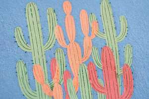 T-shirt en jersey bleu à manches courtes et col rond pour femme, imprimé cactus mignon, coupe décontractée, idéal pour l'été - Product Image 3