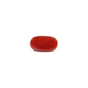 Natural Red Coral Loose Gemstone 3.4 Carat Certified Wholesale - Product Image 2