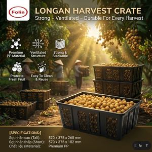 Wholesale PP Plastic Longan Crate Agricultural Fruit Storage Basket With Handle Vietnam Manufacturer - Product Image 5