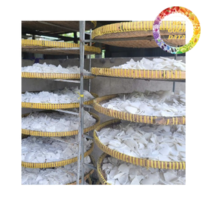 Rodajas de Coco Deshidratadas de Alta Calidad para Suministro a Granel - Etiqueta OEM - Product Image 2