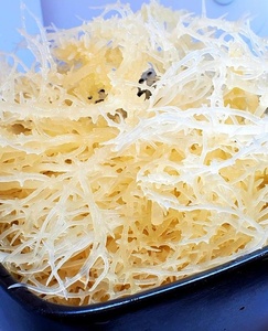 มอสทะเลแห้งจากเวียดนาม-ผลิตจากป่าธรรมชาติราคาถูก - Product Image 2