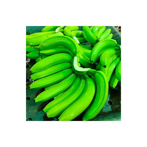 Bananes Cavendish vertes de haute qualité, fraîches de la ferme, produits naturels pour la transformation alimentaire et la distribution commerciale en gros - Product Image 5