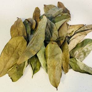 Dried Soursop Graviola Leaves Fermented Black <b>Tea</b> Aromatic Bulk Vietnam Binh Phuoc Non Sugar Health - Product Image 4