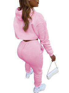 Fabricante OEM, Conjunto Deportivo Informal para Mujer, Sudadera con Capucha de Manga Larga, Color Sólido, Top Corto Holgado, Pantalones Deportivos de Algodón - Product Image 2