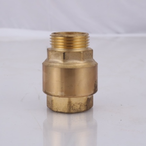 Hydroplus International Brass NRV 1/1.25 Inch Check Valve For Water And Gas Systems Threaded BSP NPT Connection - Product Image 1