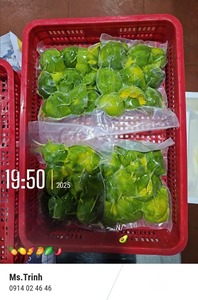 Fournisseur Direct Vietnamien Avocat Congelé de Qualité Processus de Congélation IQF Forme Entière 10kg Meilleur Prix Prêt pour les Acheteurs Internationaux - Product Image 5