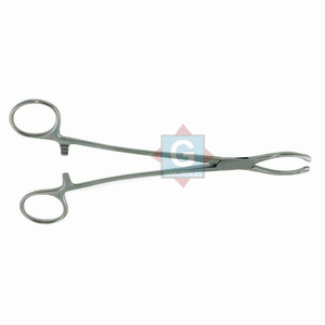 Pinzas para Tejidos Littlewood Más Vendidas, Instrumentos Quirúrgicos de Acero Inoxidable, Certificación CE Clase I, Alta Calidad - Product Image 2