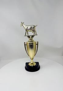 Trofeo de Metal Grabado Personalizado de la Mejor Calidad para Eventos Escolares, Universitarios y de Premiación, Disponible para Suministro al por Mayor - Product Image 4