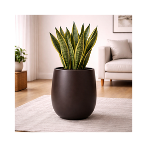Macetas de Fibra de Vidrio para Decoración de Interiores/Exteriores, Diseño Nuevo, Ecológicas, Duraderas, Ligeras, Buen Precio, para Hogar y Jardín - Product Image 1
