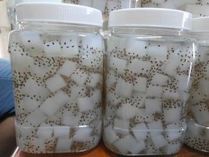 Cubes de Nata de Coco Premium en Sirop, Gommes de Coco avec Graines de Basilic, Prêts à Consommer, Ingrédient de Dessert Tropical pour Bubble Tea - Product Image 4